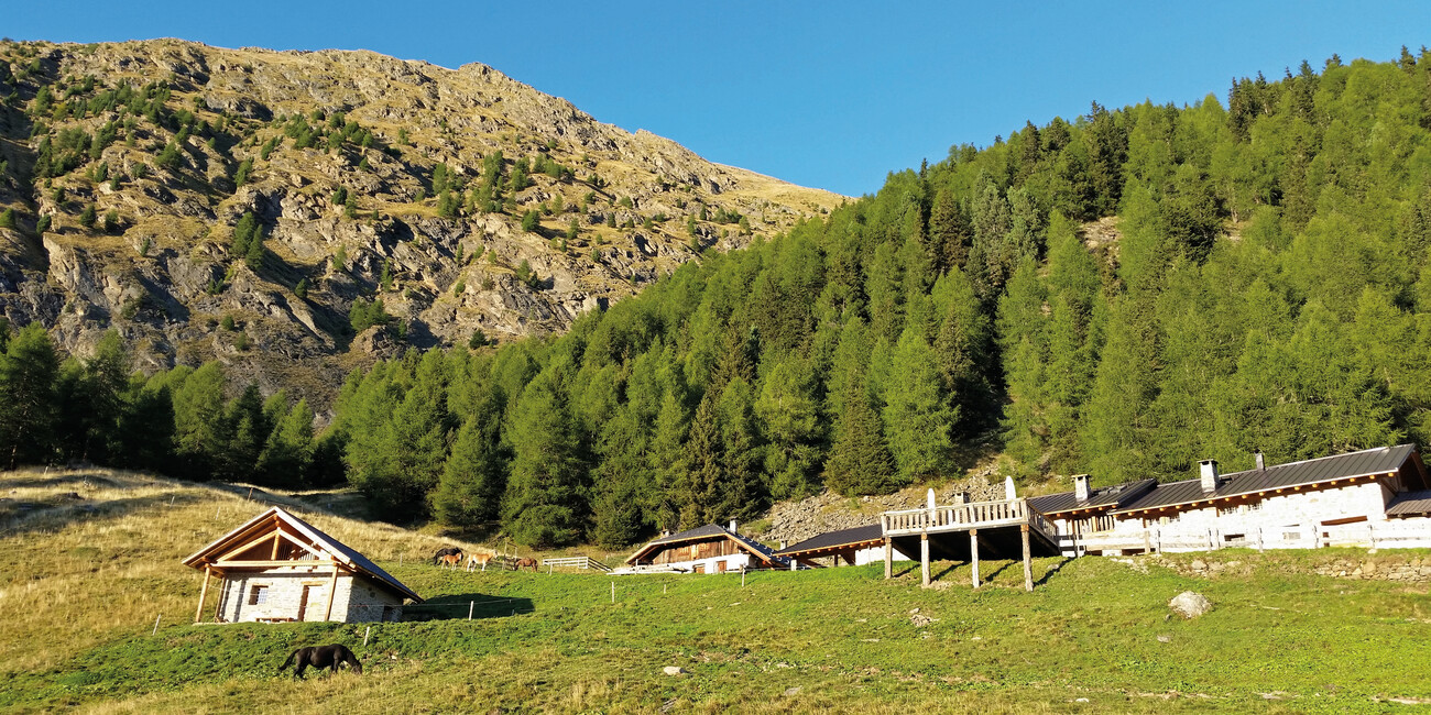 Museo della Malga #3 | © Museo della malga - Foto Archivio Apt Val di Sole