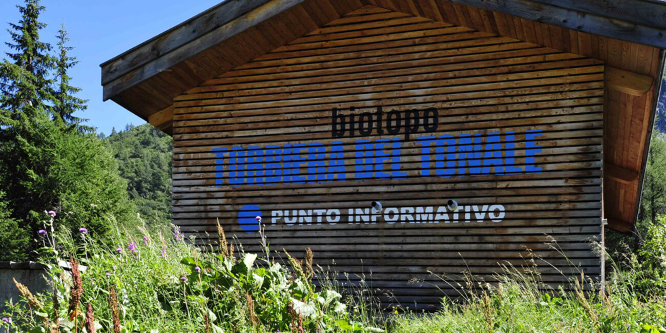 Tonale Peatbog #3 | © Torbiera del Tonale - Foto Archivio Apt Val di Sole