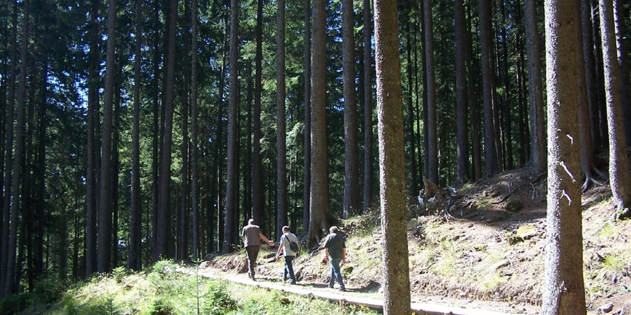 Gedächtnispfad #1 | © Foto Archivio Apt Val di Fiemme