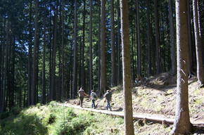 Il Sentiero della Memoria | © Foto Archivio Apt Val di Fiemme