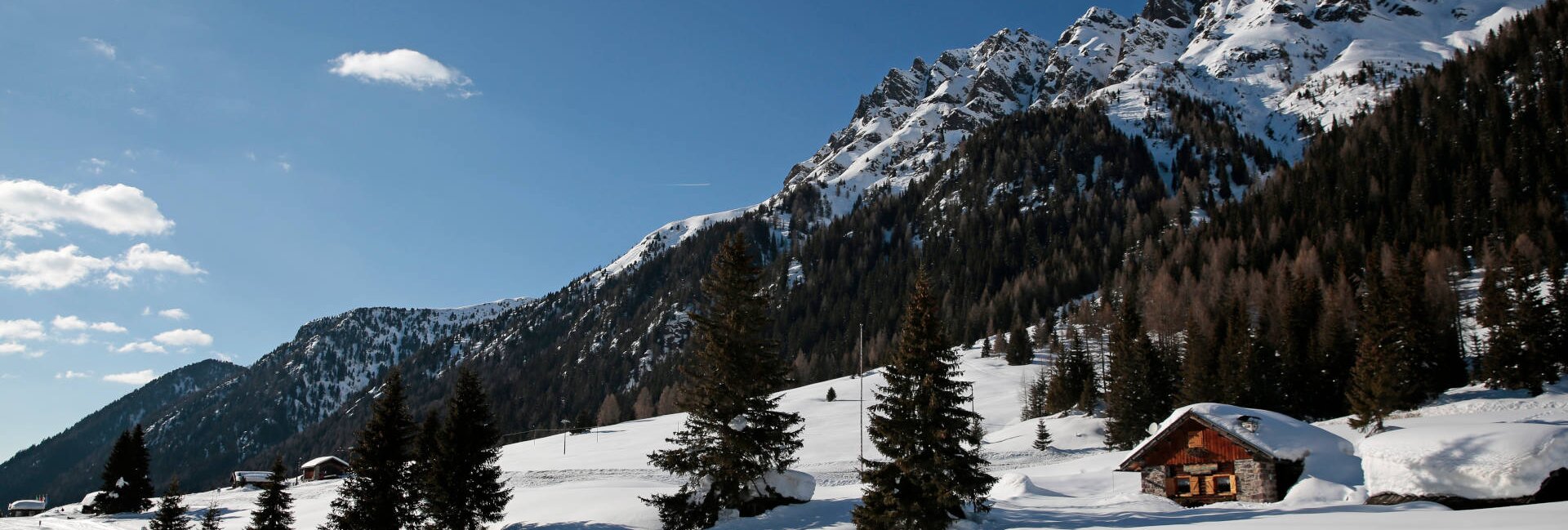 Centro Fondo Moena - Passo San Pellegrino | © Foto Archivio Apt Val di Fassa