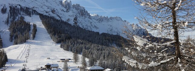 Ski area Passo Costalunga-Carezza | © Foto Archivio Apt Val di Fassa