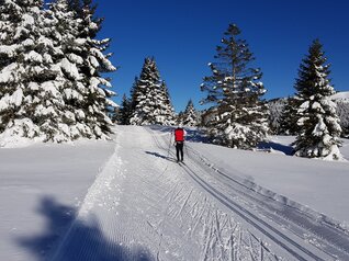 Centro Fondo Millegrobbe | © Foto SuperNordic Skipass