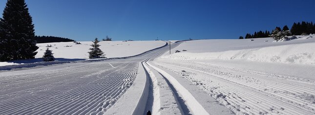 Centro Fondo Millegrobbe | © Foto SuperNordic Skipass