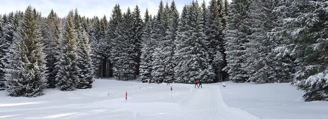 Centro Fondo Millegrobbe | © Foto SuperNordic Skipass