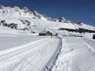 Centro Fondo Moena - Passo San Pellegrino Alochet 