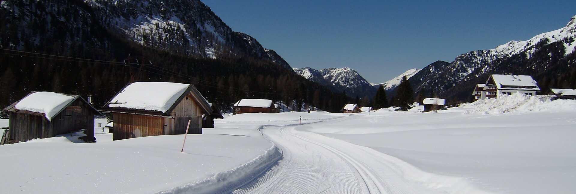 Centro Fondo Moena - Passo San Pellegrino Alochet 