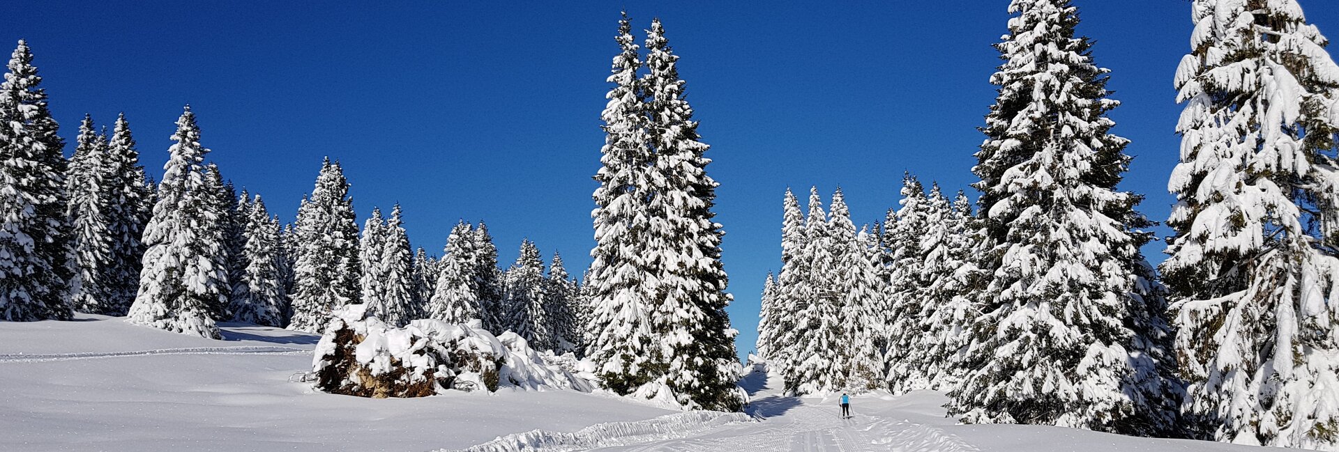 Centro Fondo Passo Coe | © Foto SuperNordic Skipass