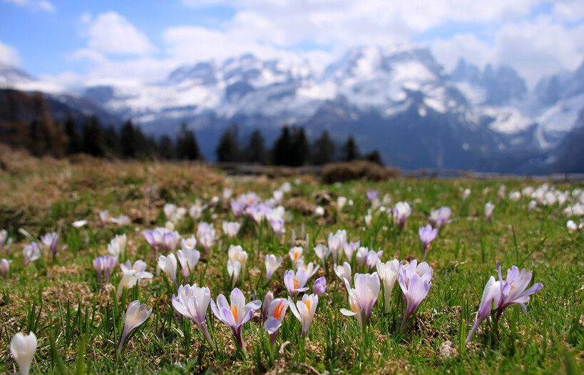 Nature and Well-being in Trentino