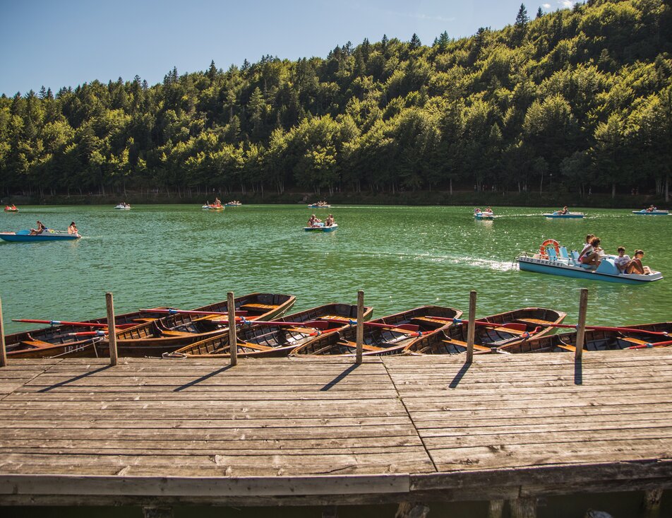 Lake Lavarone - On Freud’s footsteps