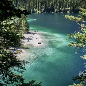 De paden op, de lanen in