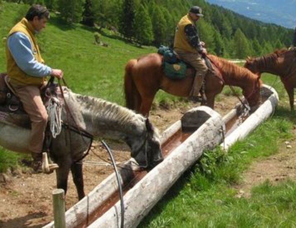 Associazione Natura a cavallo  