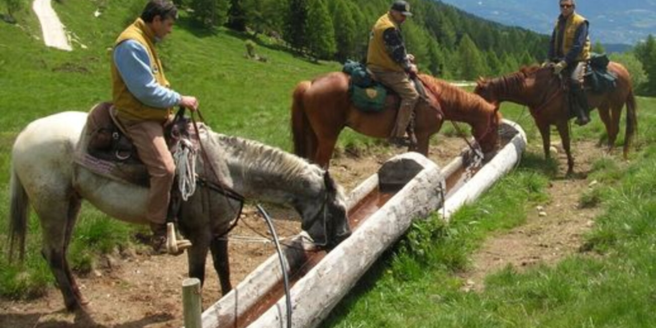 Associazione Natura a cavallo   #1