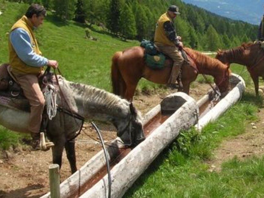 Associazione Natura a cavallo  
