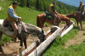 Associazione Natura a cavallo  