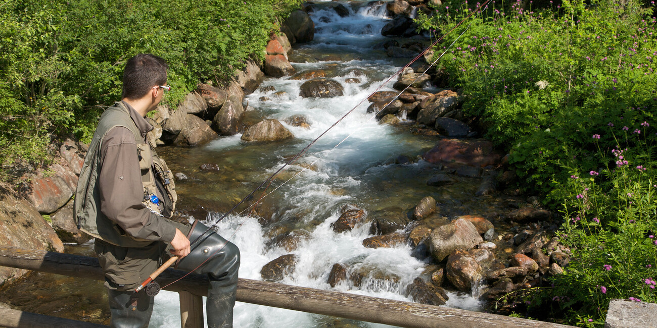 Val di Breguzzo   #1