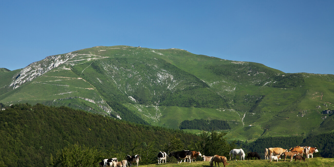 Riserva Bès Corna Piana  #4