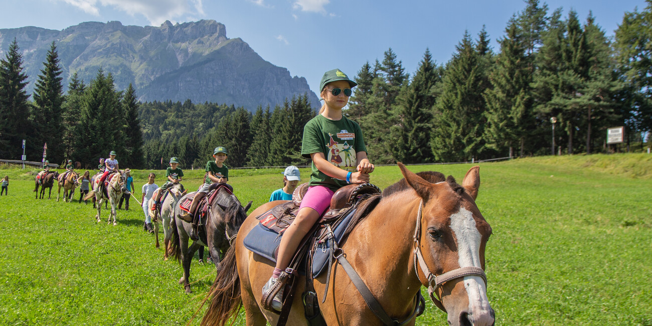 Centro Equestre Il Salice #3