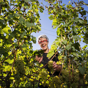 Enjoy a wine in our farmsteads