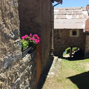 Ragoli