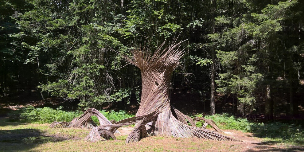 Il respiro degli alberi, Alpe Cimbra