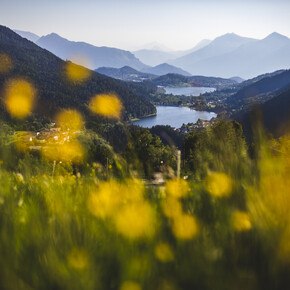 Lakes Serraia and Piazze