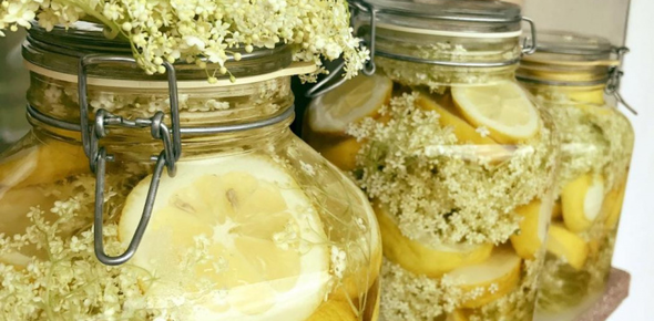 Elderflower syrup