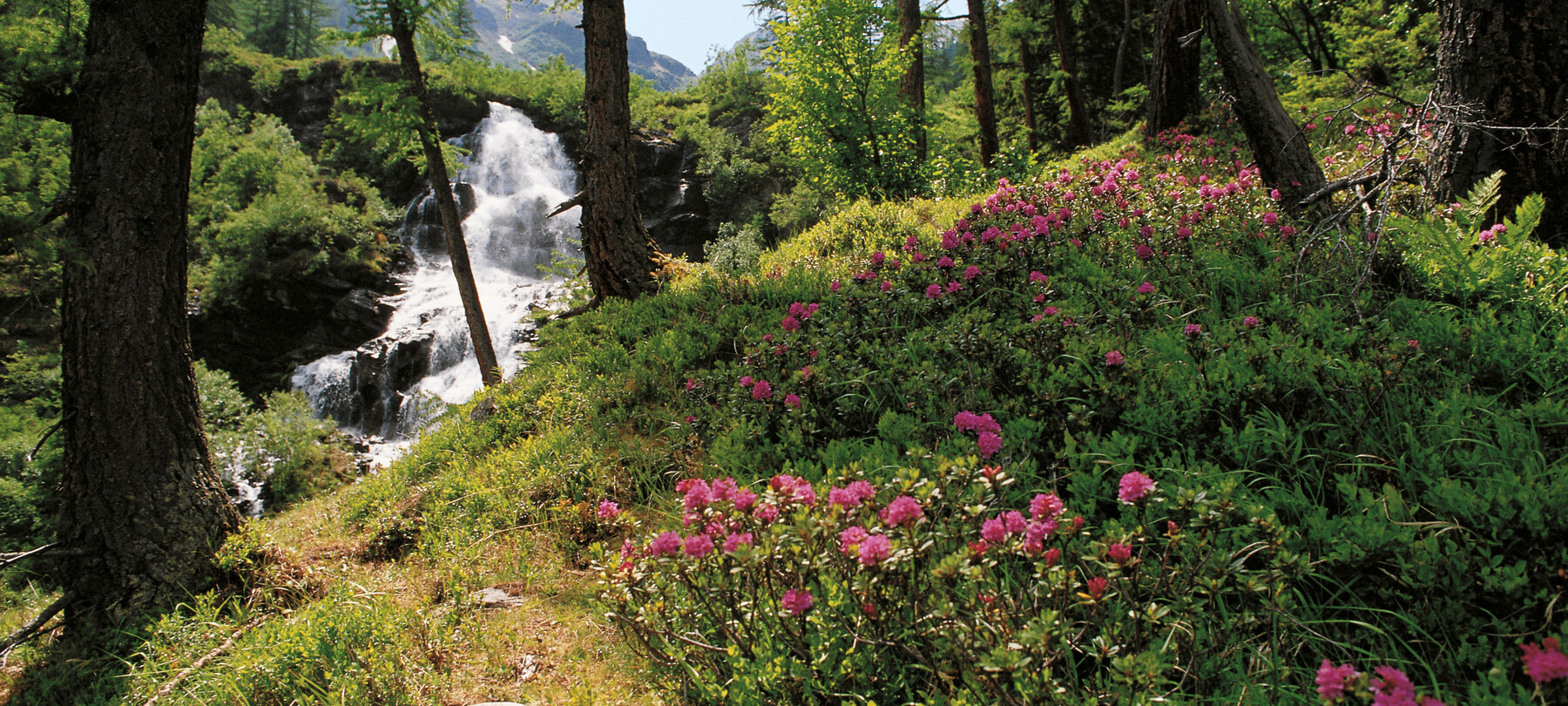 The Stelvio National Park