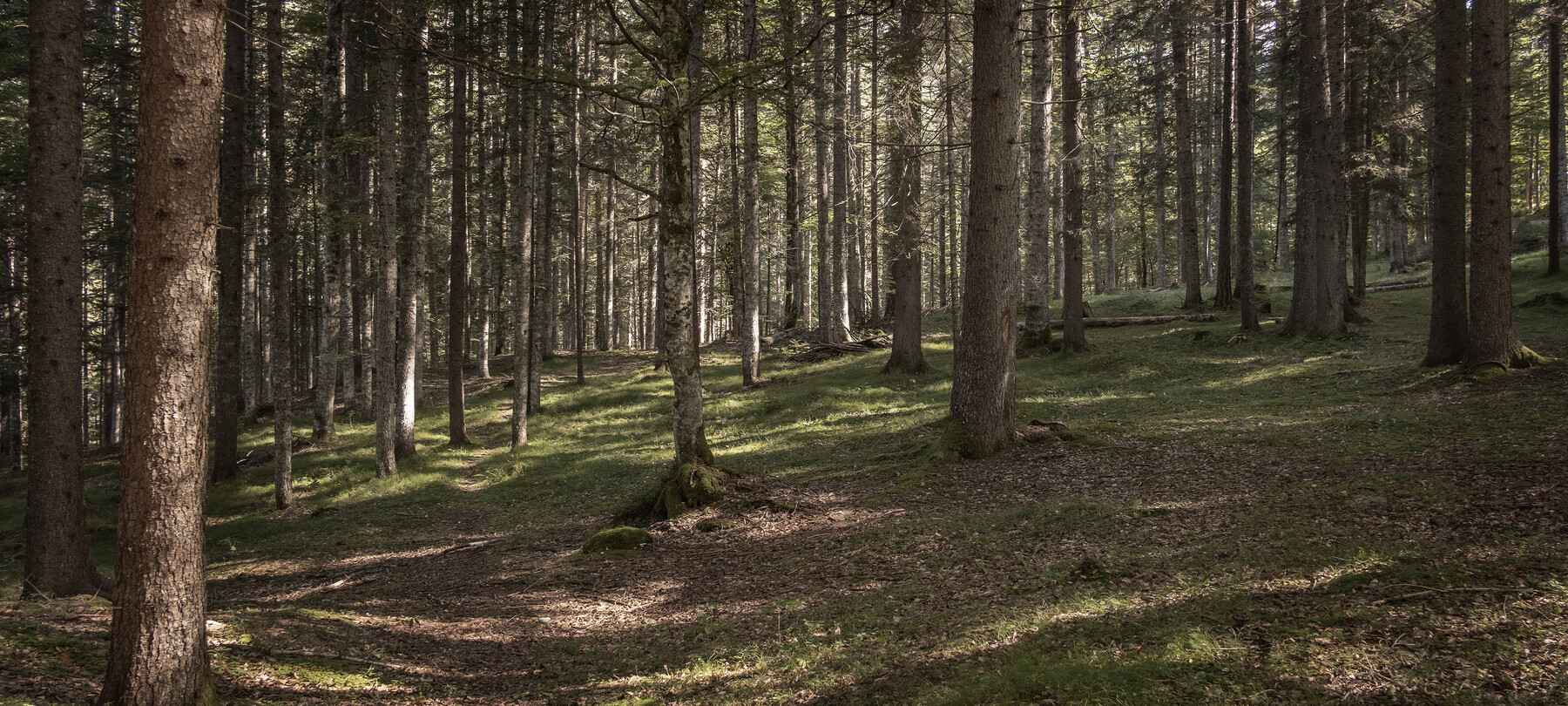 River Park Sarca - Parco Fluviale della Sarca and Natural Reserves of Val di Cembra