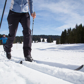 Cross-country skiing!