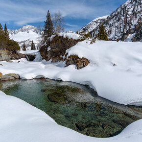 Заснеженный мир тишины