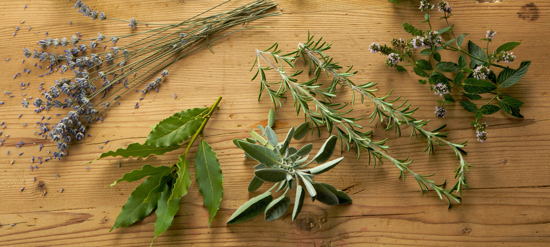 Na Boże Narodzenie podaruj swoim bliskim kosz smakołyków z Trentino