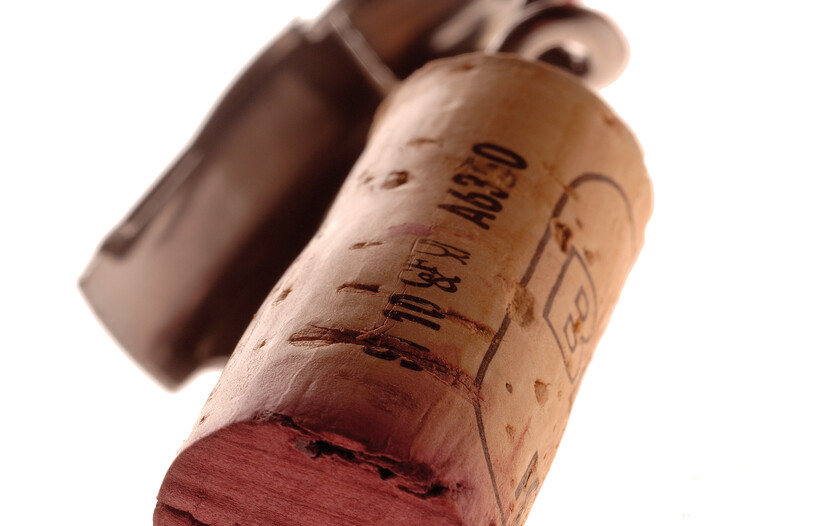 Explore some more Trentino products