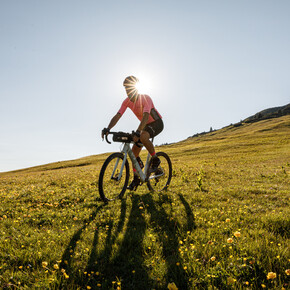 Gravel bike