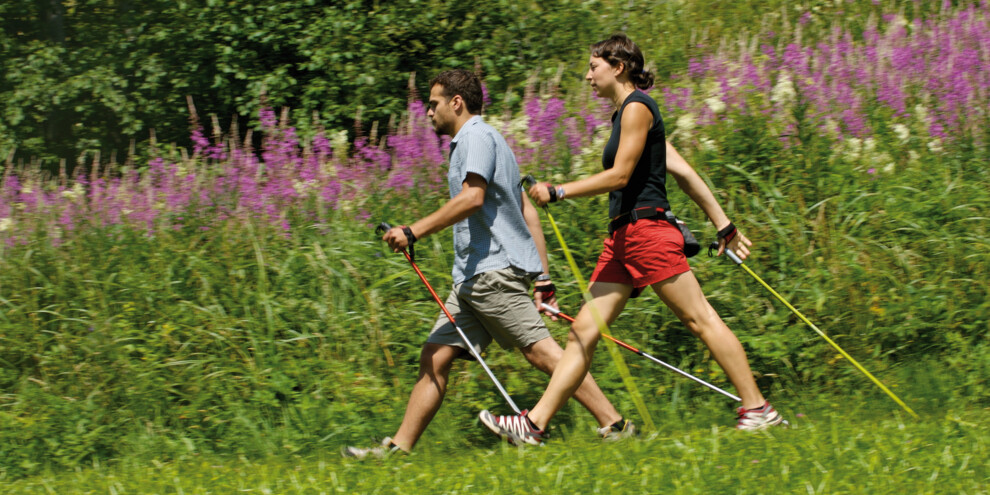 Percorso dell’arboreto