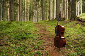 The Sounding Forest