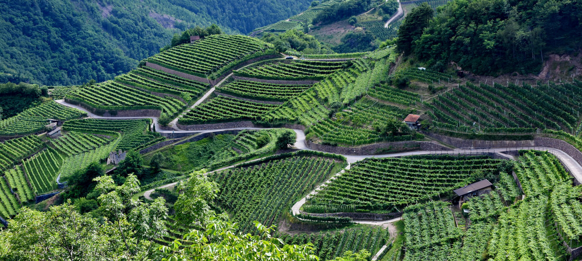 Itinerari in Val di Cembra