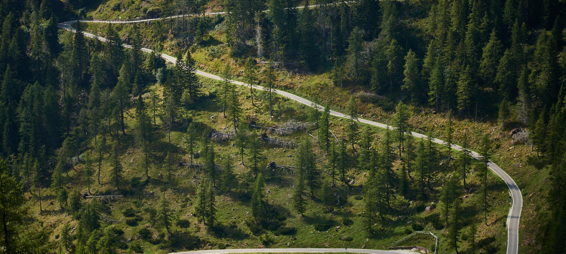 The legendary uphill climbs of Trentino, routes that made cycling history