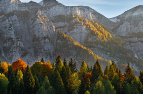 Scattered signs of rural activity among meadows and woods - Tour 2269 | © APT San Martino di Castrozza, Primiero e Vanoi