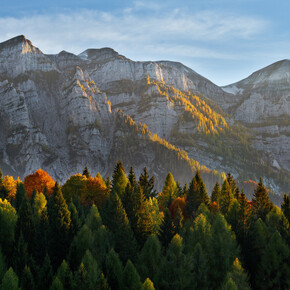 Scattered signs of rural activity among meadows and woods - Tour 2269 | © APT San Martino di Castrozza, Primiero e Vanoi