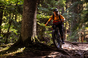 804 "Ranzo-Andalo MTB" | © APT Dolomiti di Brenta e Paganella