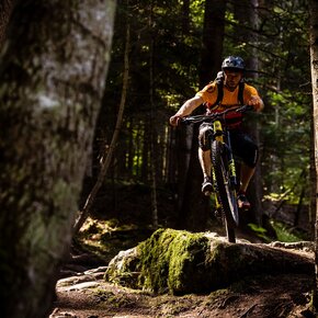 810 "Giuel Trail" | © APT Dolomiti di Brenta e Paganella