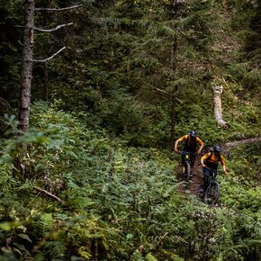 796 "Tour Selvapiana" | © APT Dolomiti di Brenta e Paganella