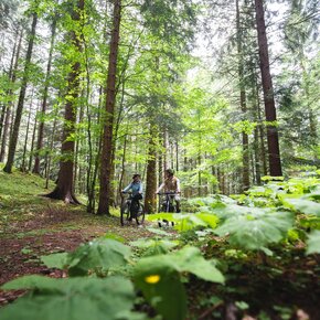 797 "Tour Cavedago" | © APT Dolomiti di Brenta e Paganella