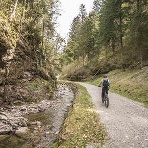 Tra Andalo e Molveno | © APT Dolomiti di Brenta e Paganella