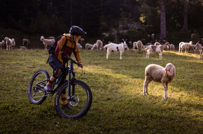 801 "Tour Maurina - Tre Tini" | © APT Dolomiti di Brenta e Paganella