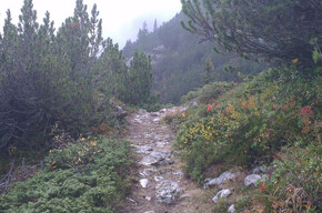 Erster Teil der Tour | © APT Dolomiti di Brenta e Paganella