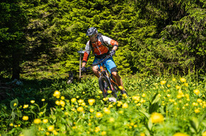 820 - Folgaria - Costa - Francolini | © Azienda per il Turismo Alpe Cimbra