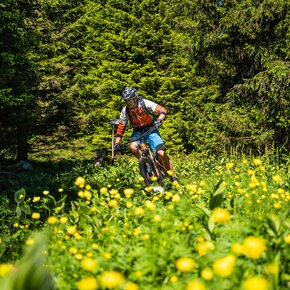 820 - Folgaria - Costa - Francolini | © Azienda per il Turismo Alpe Cimbra