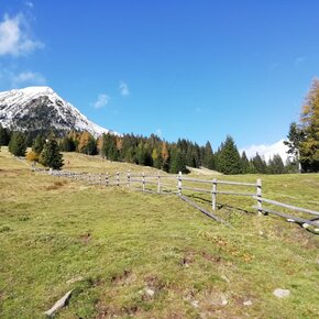 Malghe delle Maddalene | © APT Val di Non 